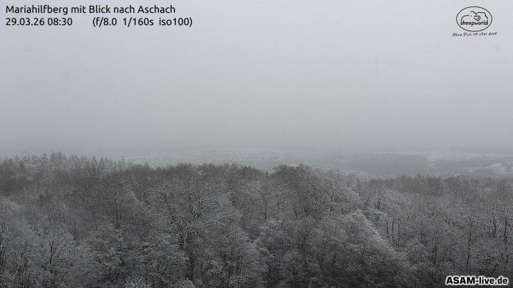 Webcam mit dem Standort: Mariahilfberg mit Blick nach Aschach