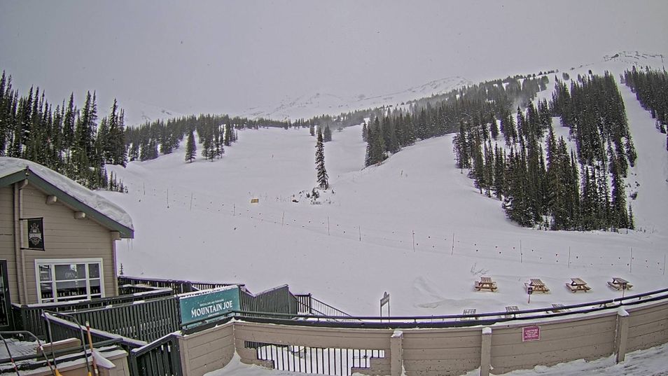 Webcam mit dem Standort: Marmot Basin: Mid Mountain
