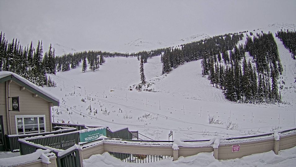 Webcam located at: Marmot Basin - Mid Mountain