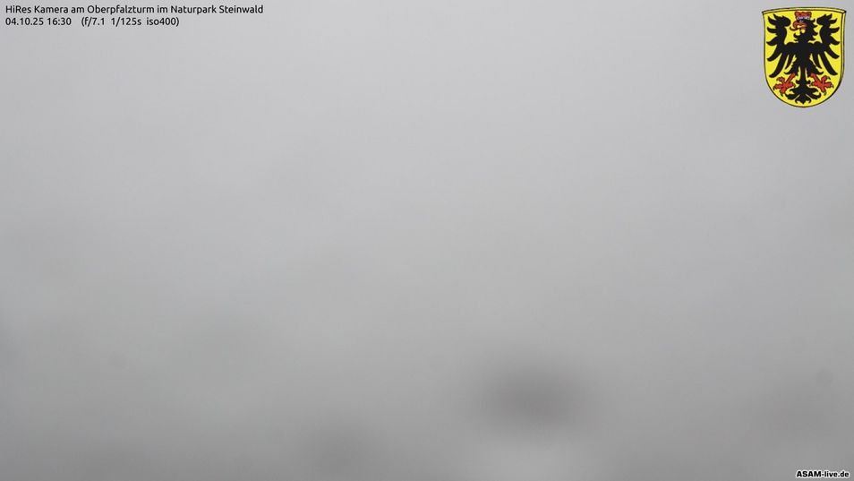 Webcam located at: Nature park Steinwald (Fichtel Mountains)