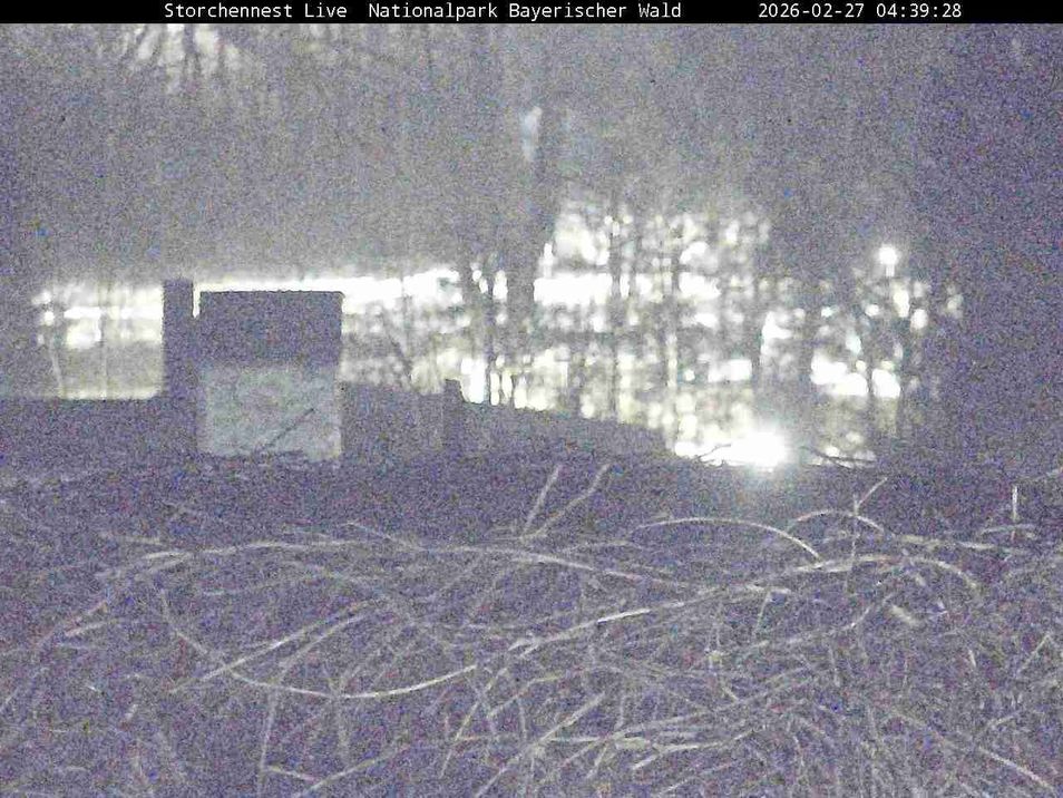 Webcam mit dem Standort: Bayerischer Wald: Blick auf das Storchennest in Grafenau