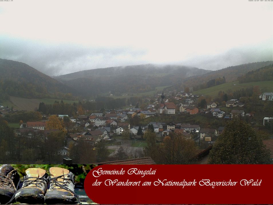 Webcam located at: Ringelai, Bavarian Forest