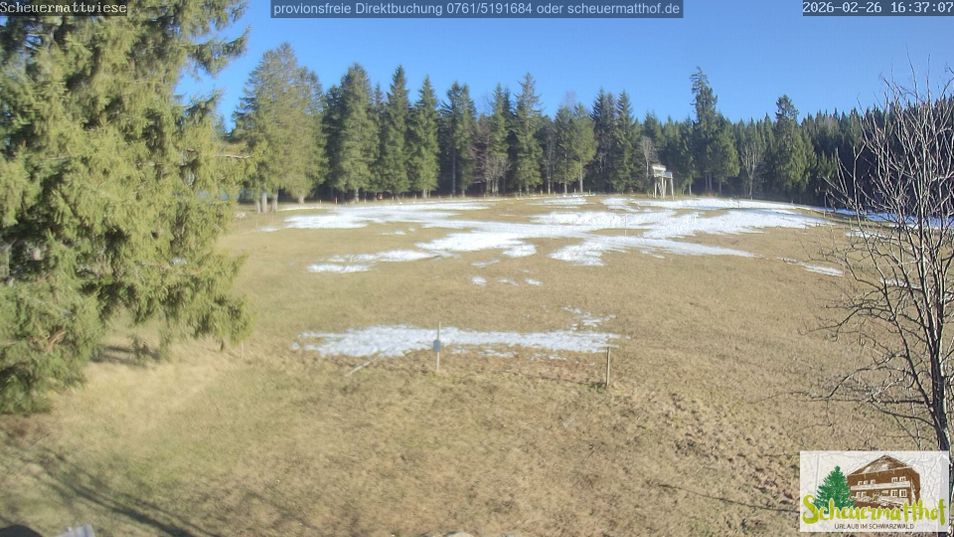 Webcam mit dem Standort: Scheuermatthof Todtnauberg - Blick auf die Piste