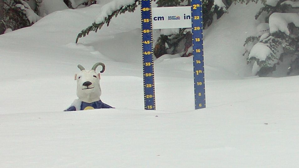 Webcam mit dem Standort: Schneehöhe Sunshine Village