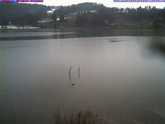 Webcam mit dem Standort: Großer Alpsee (Immenstadt)