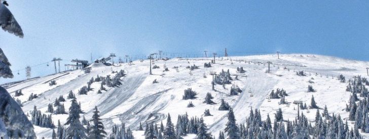 View of the slopes of Kopaonik