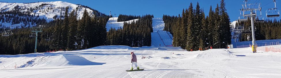 Terrain park near the base station.