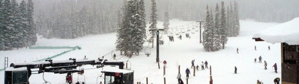 Review about Loveland - Category: Family