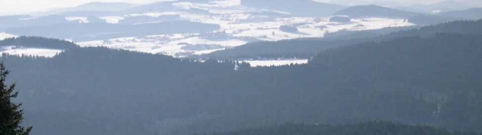 Review about Mitterdorf - Category: Conclusion