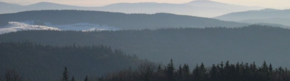 Review about Mitterdorf - Category: Conclusion