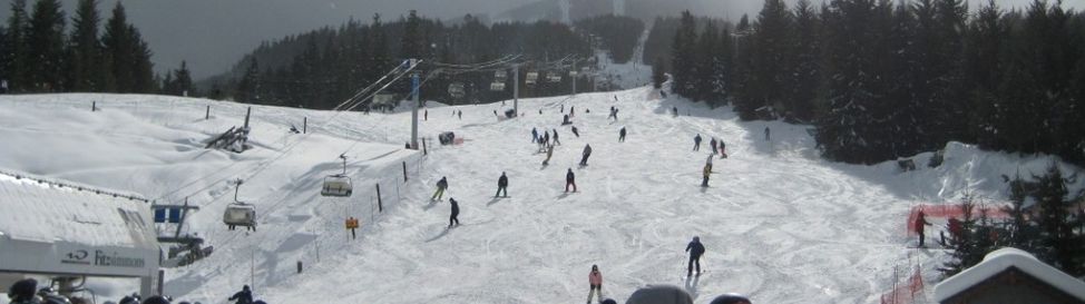 Review about Whistler Blackcomb Mountains - Category: Conclusion