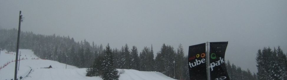 Review about Whistler Blackcomb Mountains - Category: Family