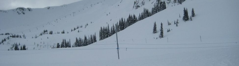 Review about Whistler Blackcomb Mountains - Category: Family