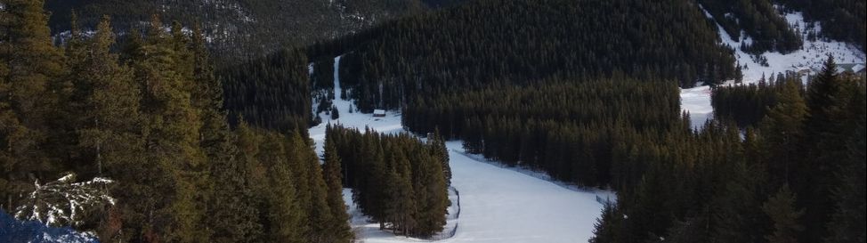 Review Banff Mt Norquay Category Advanced