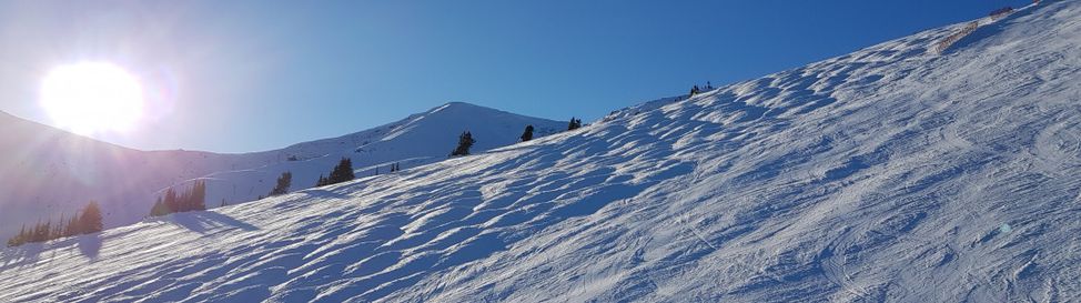 Buckelpiste mit leichten bis mittleren Buckel.