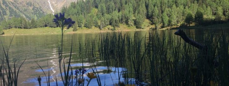 General information about your stay at Waldhäuslhütte