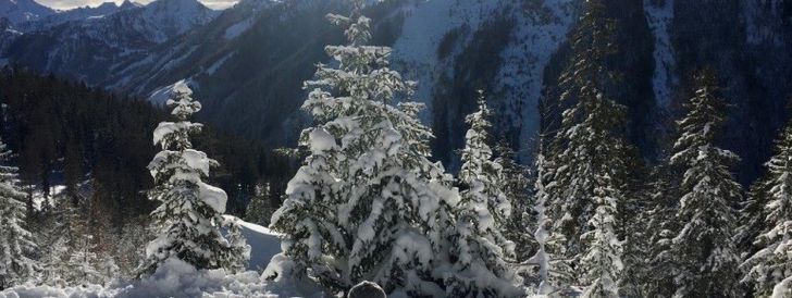 General information about your stay at Waldhäuslhütte