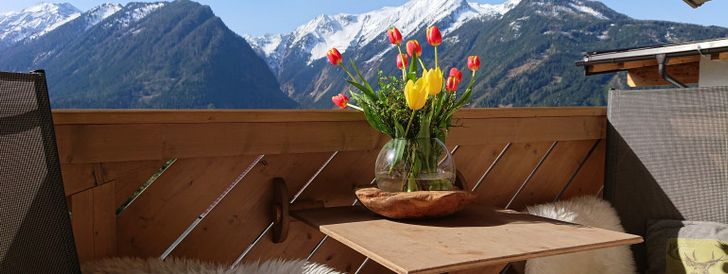 General information about your stay at Apartment Prossegger