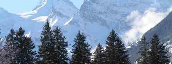 General information about your stay at Chalet Steinbock