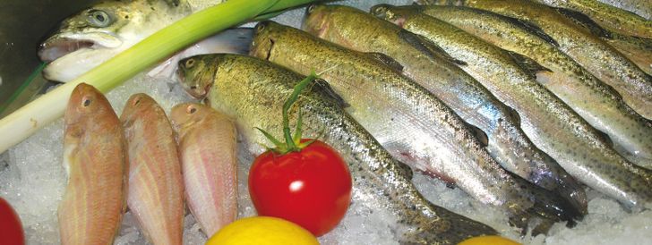 General information about your stay at Clubhotel Hochsauerland