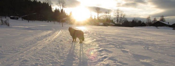 General information about your stay at Ferienwohnung Bärenhof