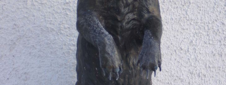 General information about your stay at Ferienwohnung Bärenhof