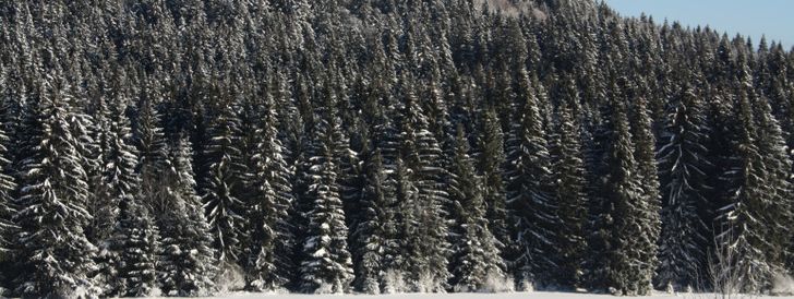 General information about your stay at Ferienwohnung Bärenhof