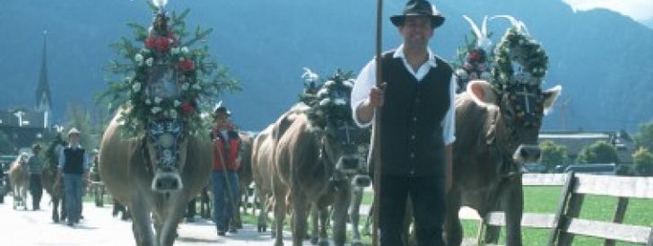 General information about your stay at Ferienhaus Barbara