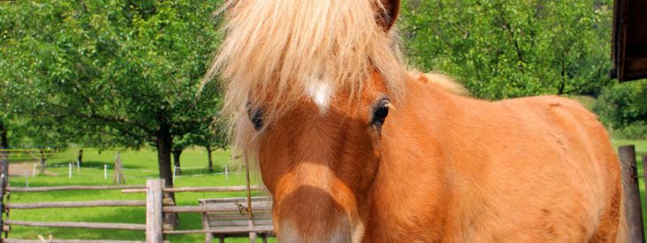 General information about your stay at Fewo Monika Kolb