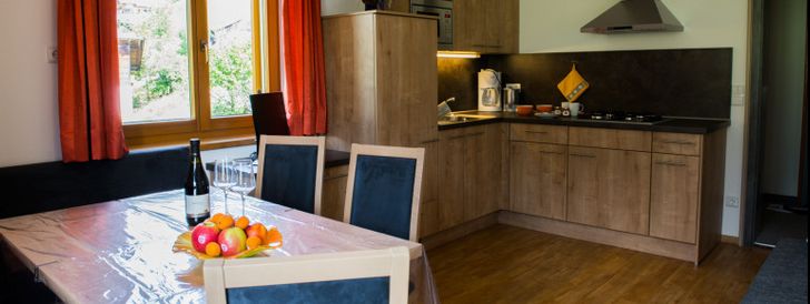 General information about your stay at Fewo Watschinger