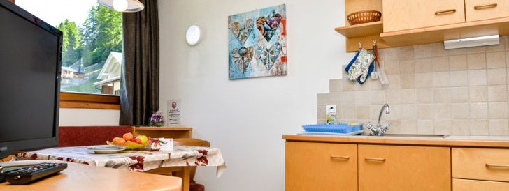 General information about your stay at Fewo Watschinger