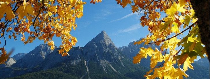 General information about your stay at Gästehaus Alpenblick