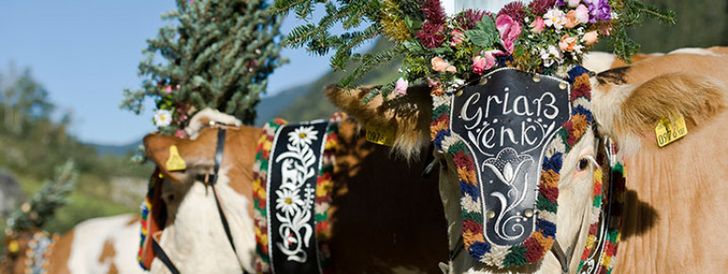 General information about your stay at Hotel Garni Nill