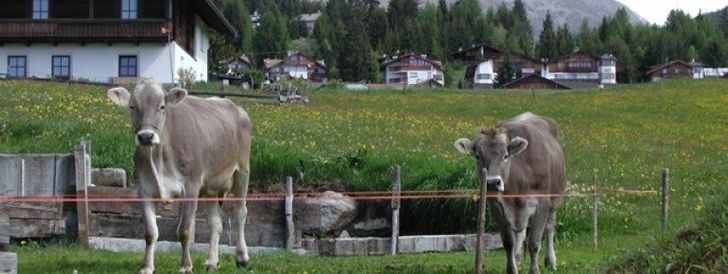 General information about your stay at Häuslerhof