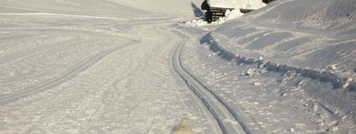 General information about your stay at Haus Anneliese