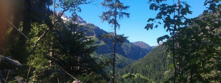 General information about your stay at Haus Sylvest