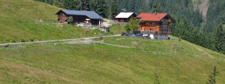 General information about your stay at Hohlriederalmhütte