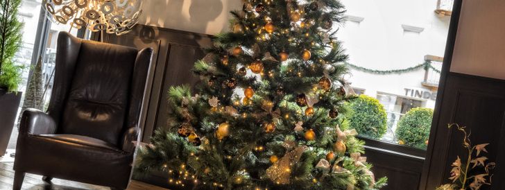 General information about your stay at Hotel Genziana