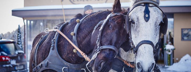 General information about your stay at Hotel Reinerhof