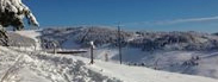 General information about your stay at Hotel Sonnenalm