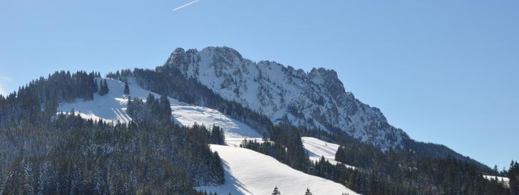 General information about your stay at Landhaus Wildschütz