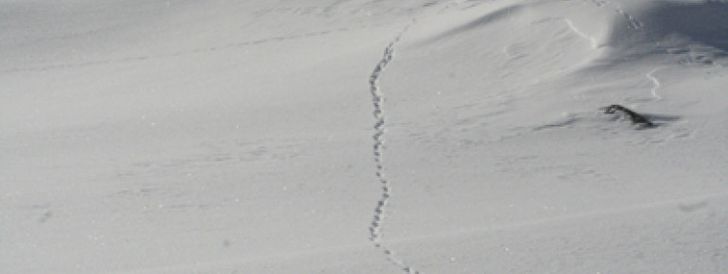 General information about your stay at Panorama Gästehaus