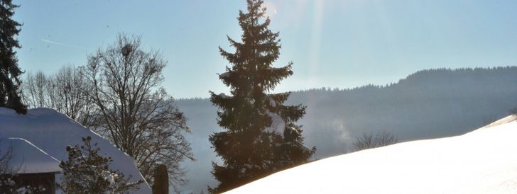 General information about your stay at Pension Enzian