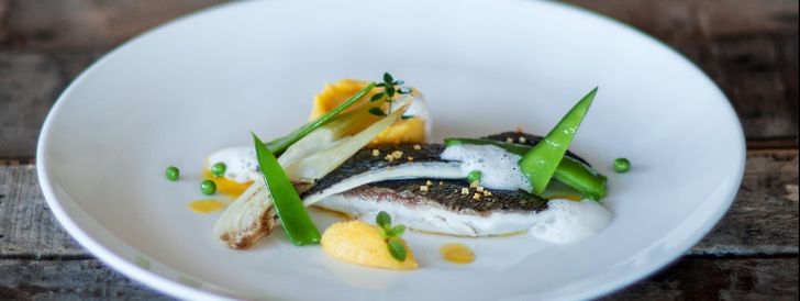 General information about your stay at Sport- und Wellnesshotel Held