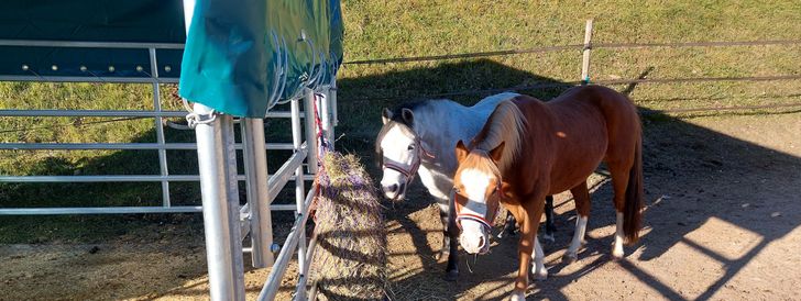 Detaillierte Infos zur Unterkunft Appartement Rossalm mit Sauna